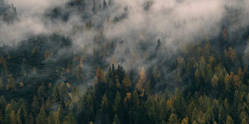 AI Data Center - Trí tuệ nhân tạo và hạ tầng doanh nghiệp 2026